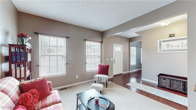 living room featuring hardwood / wood-style floors