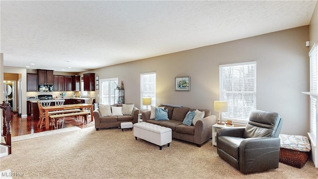 living room with light colored carpet, a textured ceiling, and a wealth of natural light