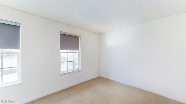 spare room featuring carpet floors and a wealth of natural light