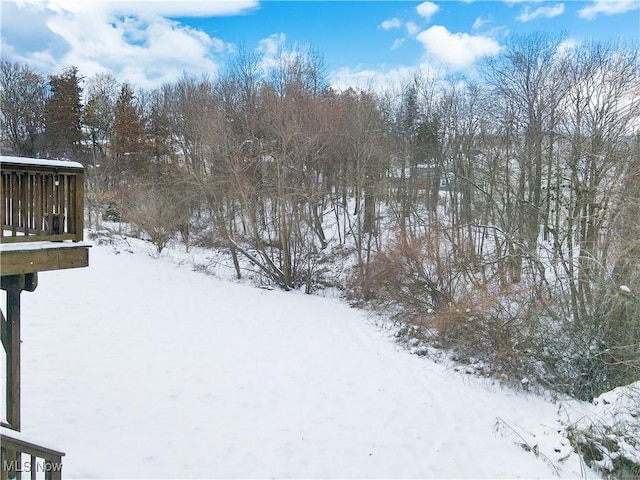 view of yard layered in snow