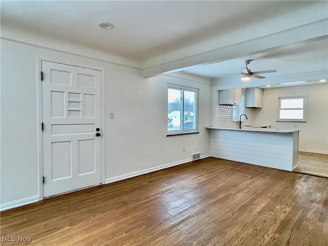 interior space with ceiling fan, sink, wood-type flooring, and plenty of natural light