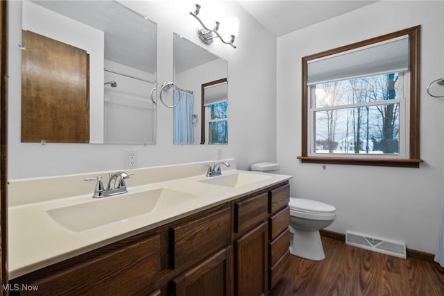 bathroom featuring vanity, toilet, and wood-type flooring