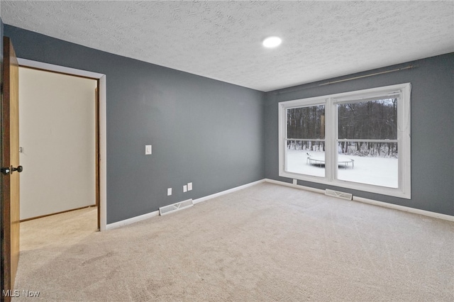 spare room featuring a healthy amount of sunlight, light colored carpet, and a textured ceiling