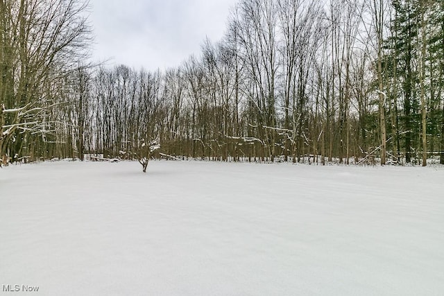 view of snowy yard