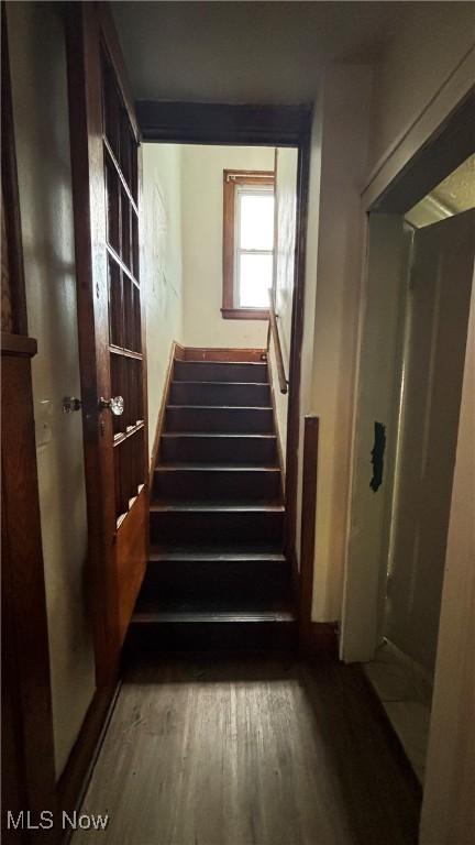 stairway with hardwood / wood-style floors