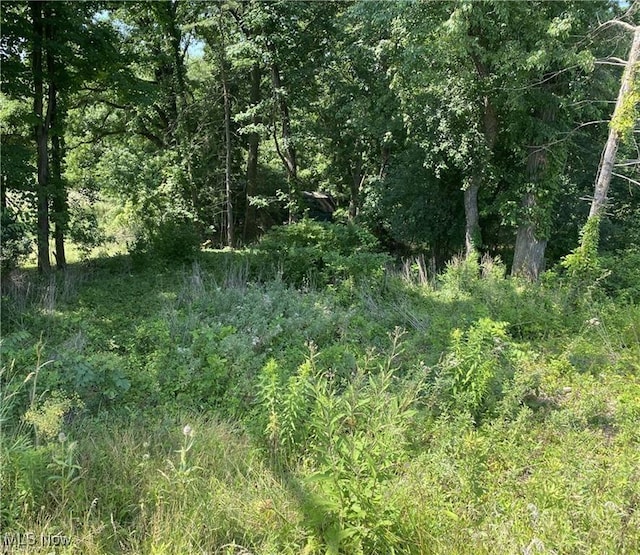 0 Hills And Dales Rd NW, Canton OH, 44708 land for sale