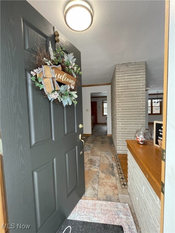 foyer featuring ornamental molding and a wealth of natural light