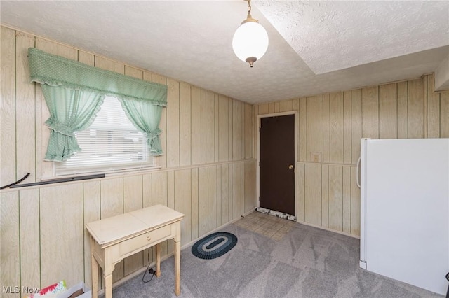 miscellaneous room featuring wood walls, a textured ceiling, and light carpet