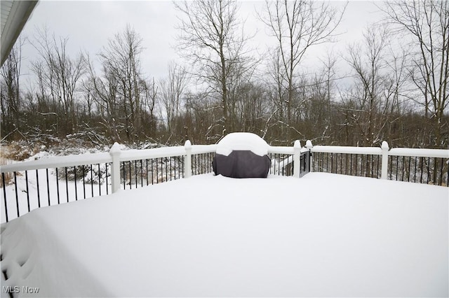 view of yard covered in snow