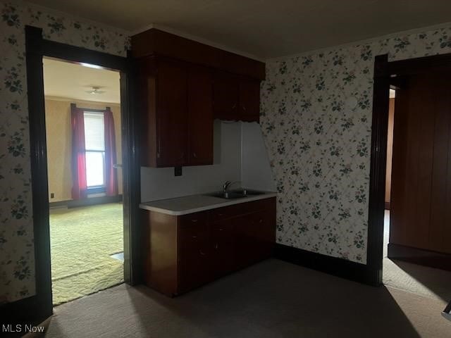 kitchen featuring light carpet and sink