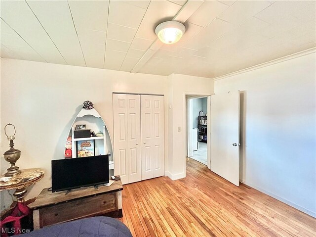 interior space featuring wood-type flooring and a closet