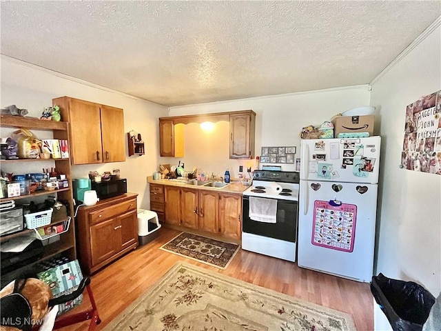 kitchen featuring sink, light hardwood / wood-style flooring, crown molding, a textured ceiling, and white appliances