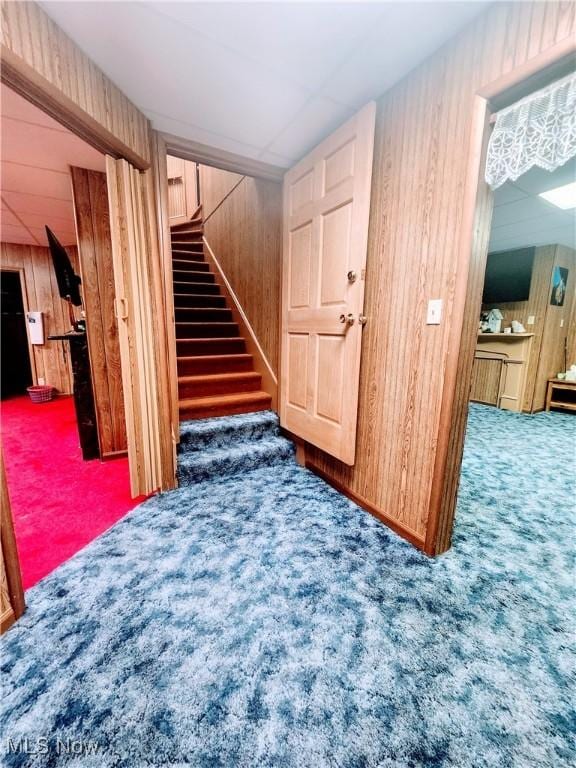 interior space with wood walls and carpet floors