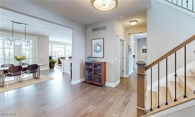 foyer entrance with hardwood / wood-style flooring