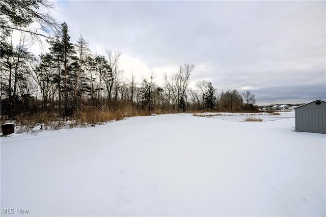 yard layered in snow with an outbuilding