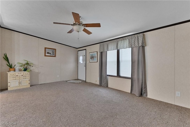 carpeted spare room with ceiling fan and ornamental molding