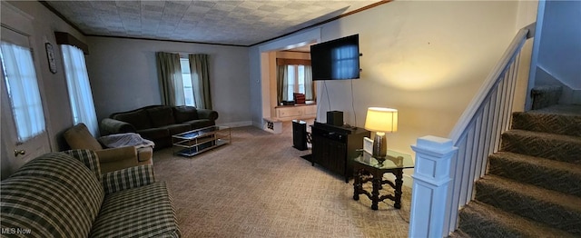 living room with carpet and ornamental molding