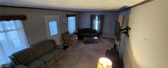 living room featuring carpet floors and crown molding