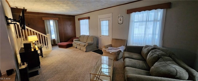 carpeted living room with crown molding, a textured ceiling, and wooden walls