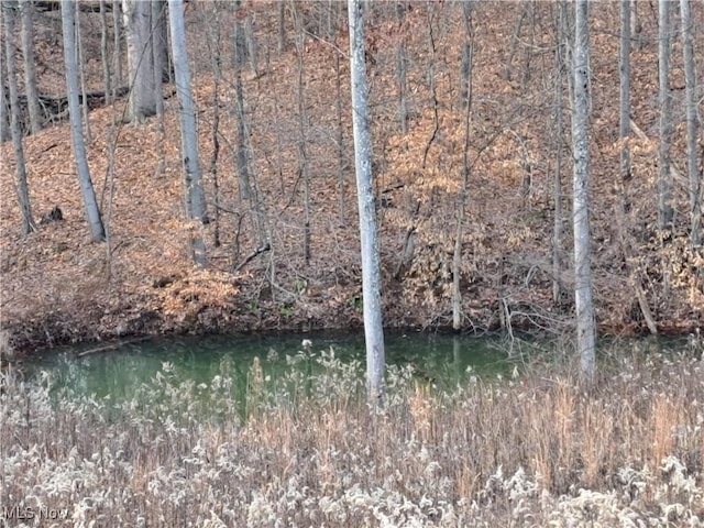 view of landscape with a water view