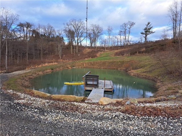 dock area featuring a water view