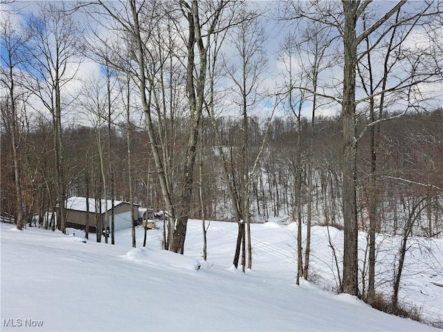 view of snowy yard