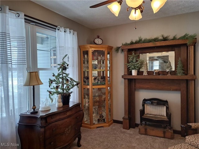 interior space with carpet, ceiling fan, and a textured ceiling