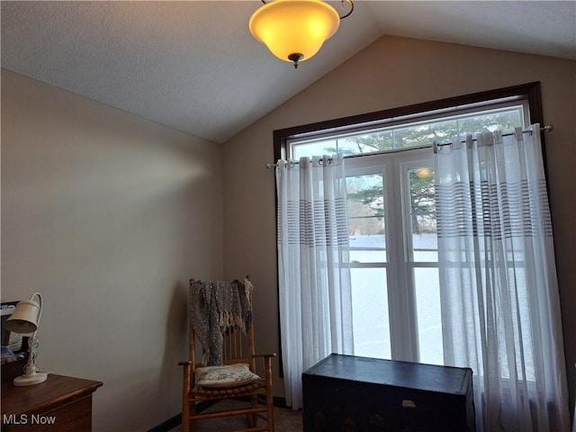 interior space featuring vaulted ceiling