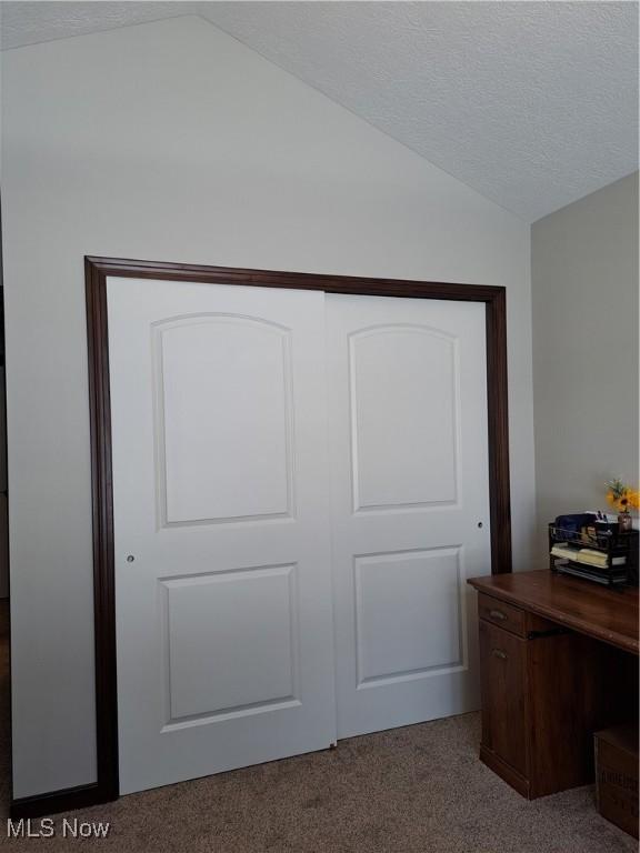 interior space with carpet flooring, a textured ceiling, vaulted ceiling, and a closet