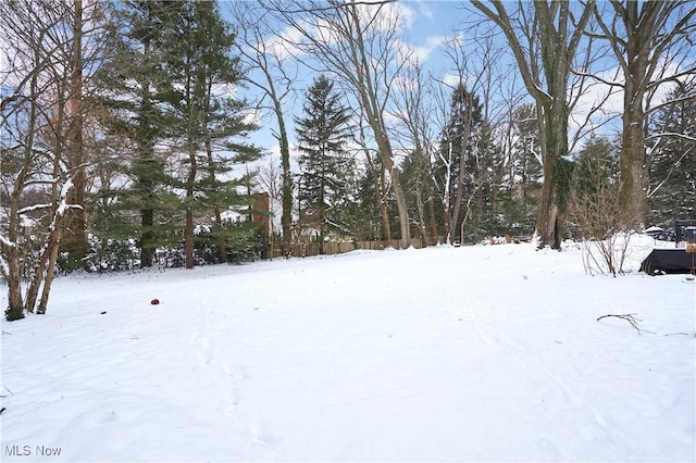 view of snowy yard