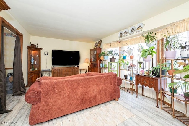 living room featuring light hardwood / wood-style flooring