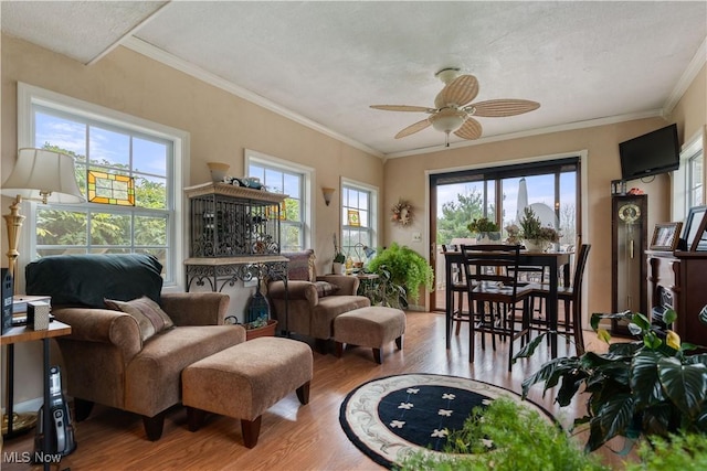 living room with hardwood / wood-style floors, a textured ceiling, ceiling fan, and crown molding