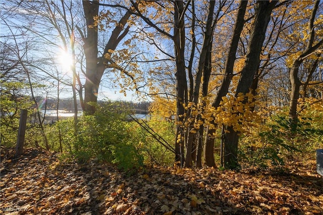 view of nature with a water view