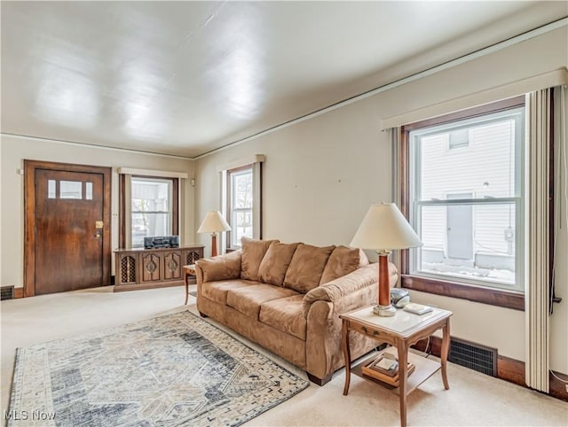 living room featuring carpet