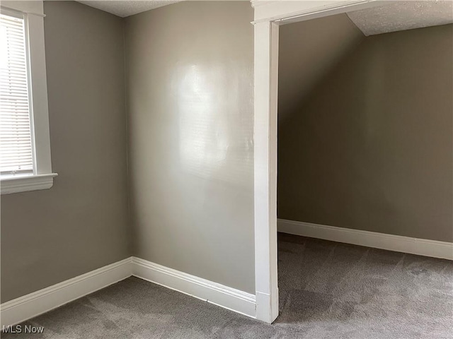 unfurnished room featuring carpet and a textured ceiling