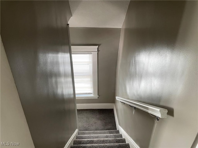 stairs featuring carpet floors