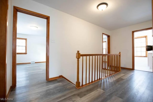 hall featuring dark wood-type flooring