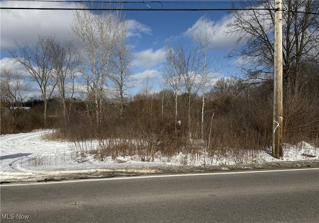 Tibbetts Wick Rd, Liberty OH, 44420 land for sale