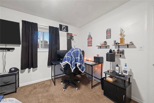 office space with carpet floors and a textured ceiling