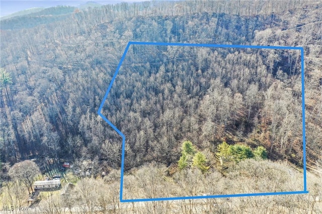 287 Skaggs Rd, Londonderry OH, 45647 land for sale