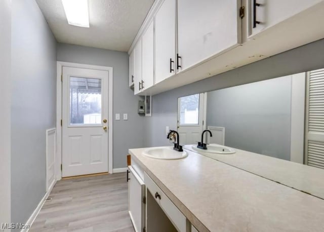 laundry room with sink, plenty of natural light, and light hardwood / wood-style flooring