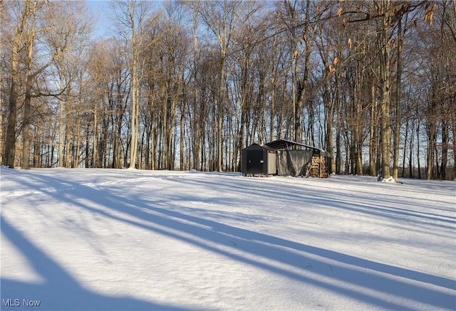 snowy yard with an outdoor structure