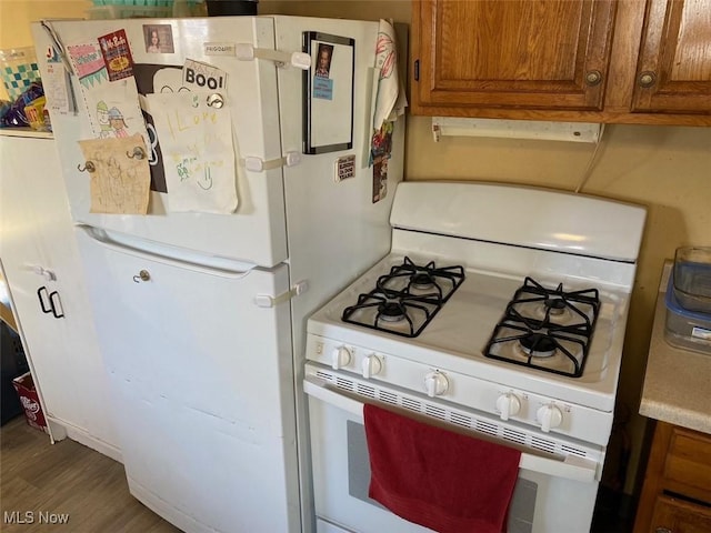 kitchen with hardwood / wood-style floors and white appliances