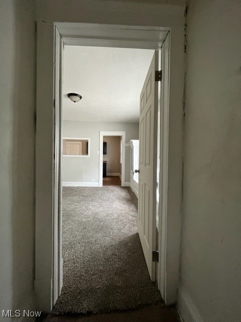 corridor featuring carpet floors and a wealth of natural light