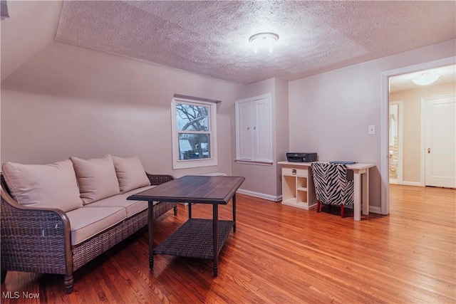 living room with a textured ceiling and hardwood / wood-style flooring