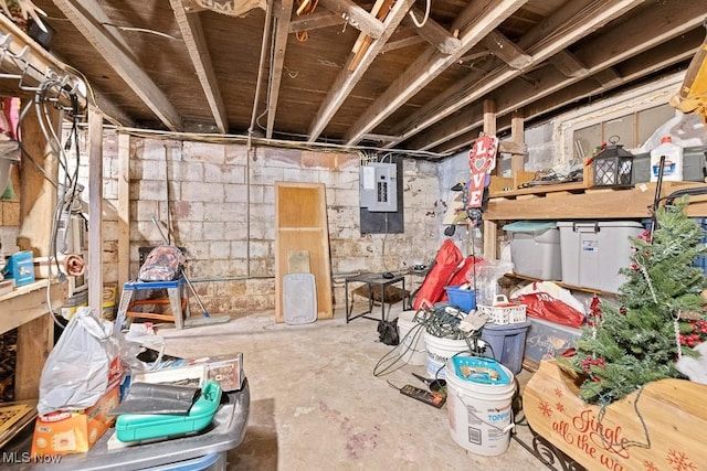 storage room featuring electric panel