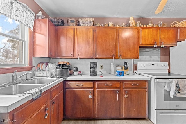 kitchen featuring decorative backsplash, light hardwood / wood-style floors, white electric range, and sink