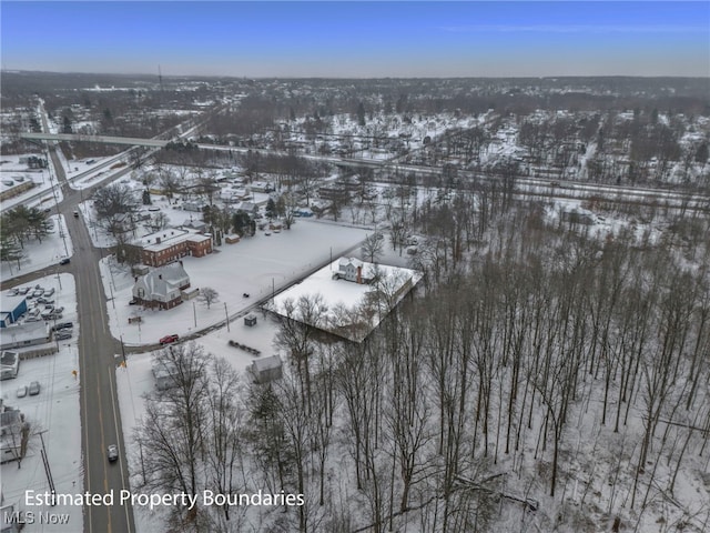 view of snowy aerial view