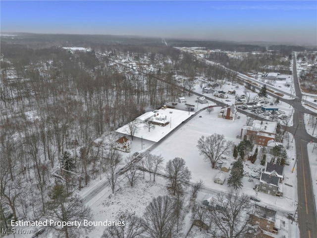 view of snowy aerial view