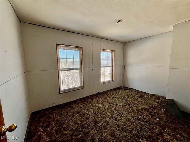 unfurnished room with carpet